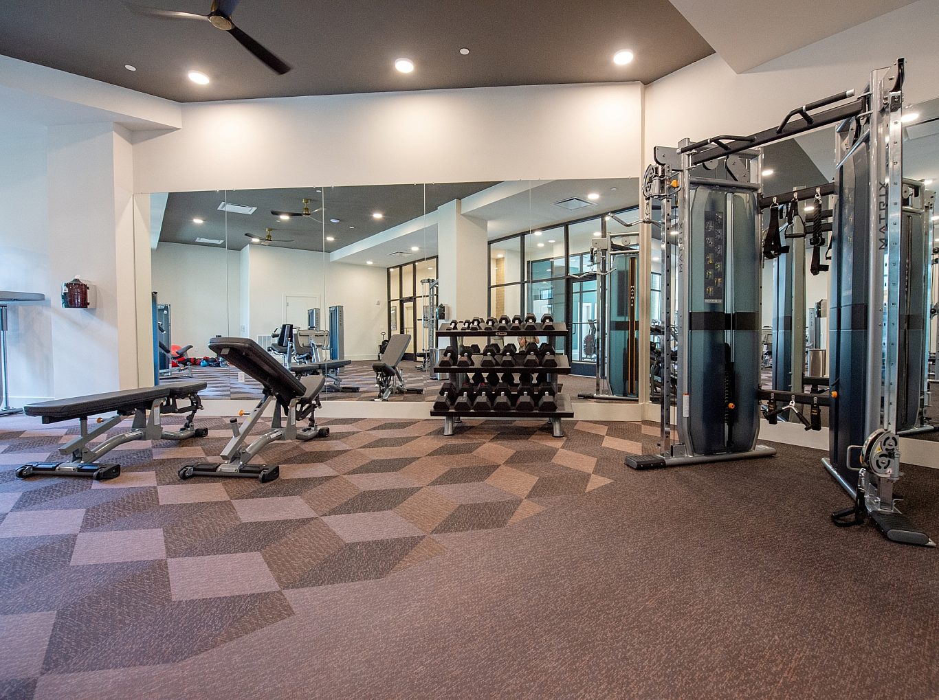 Rebecca Ward Photo The Stella August2024 981 17