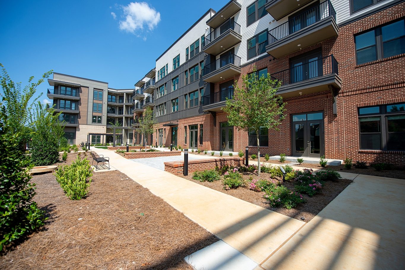 Rebecca Ward Photo Stella August2024 exterior 117 41