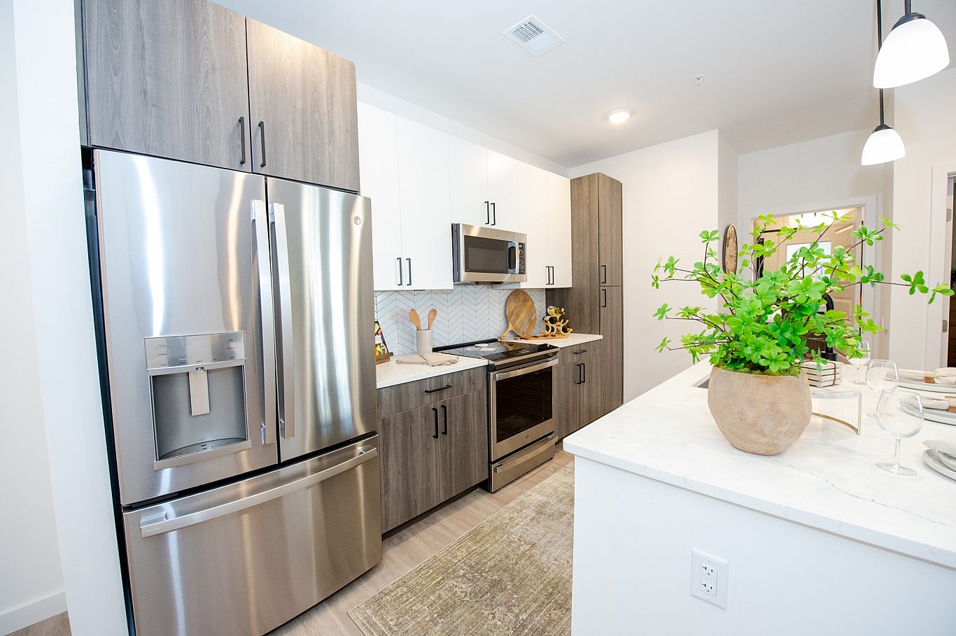 Rebecca Ward Photo The Stella August2024 123 33